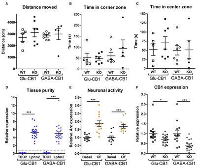 Dichotomic Hippocampal Transcriptome After Glutamatergic vs. GABAergic Deletion of the Cannabinoid CB1 Receptor